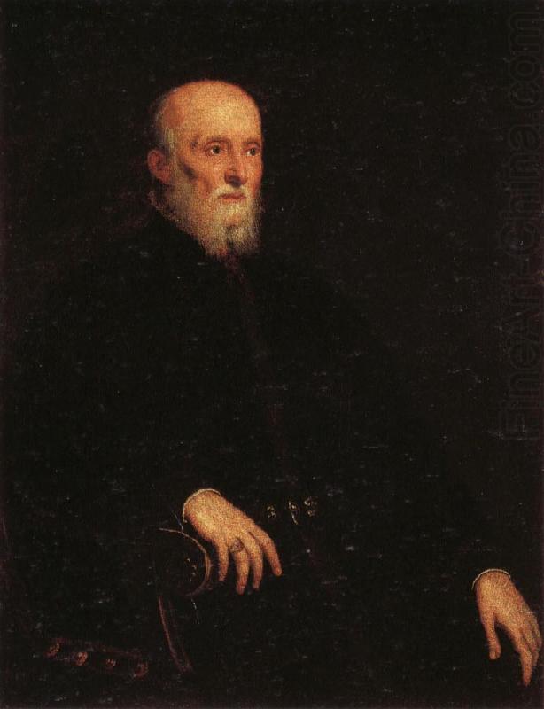 Jacopo Tintoretto Portrati of Alvise Cornaro china oil painting image